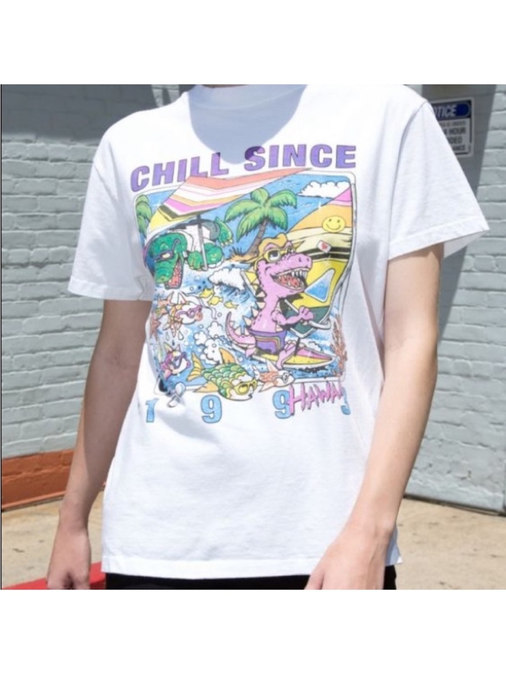 Brandy Melville MARINA CHILL SINCE 1993 HAWAII retro tee